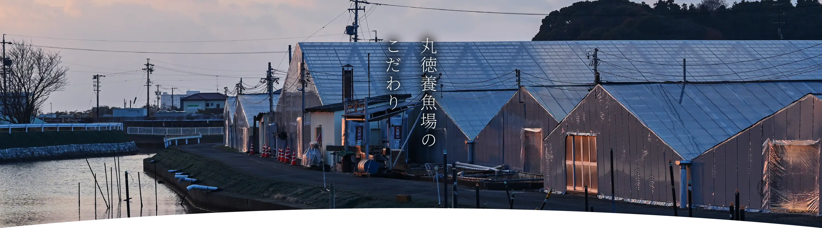 メインビジュアル